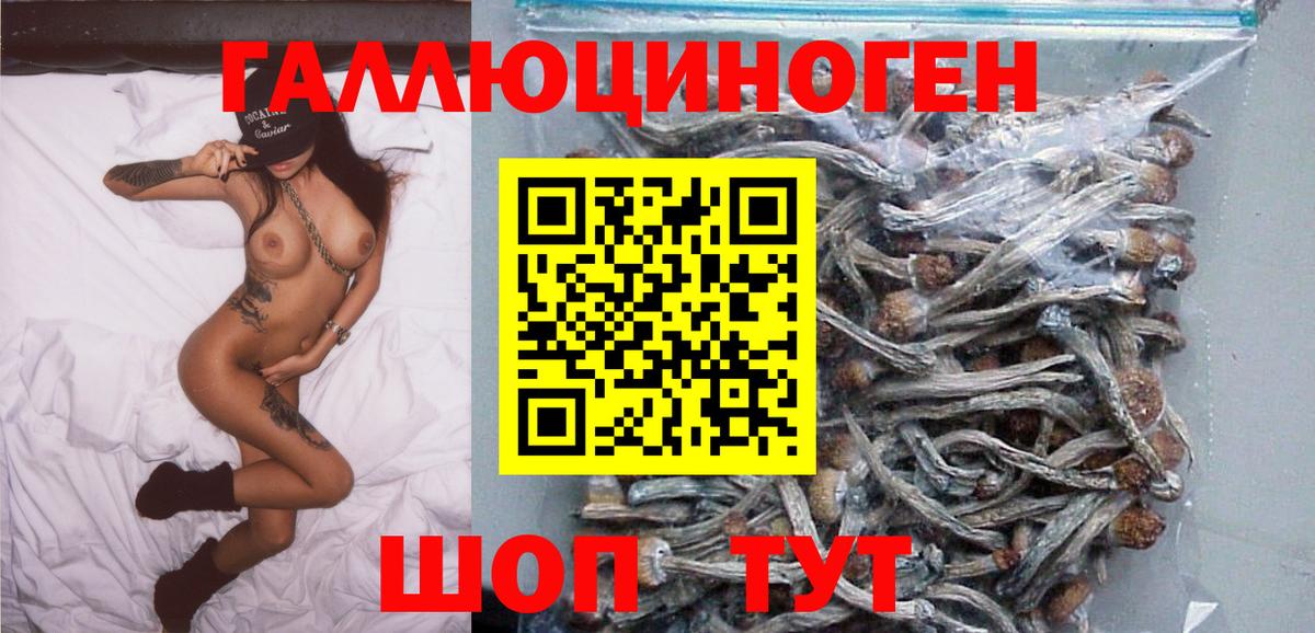 Галлюциногенные грибы мицелий Тихвин