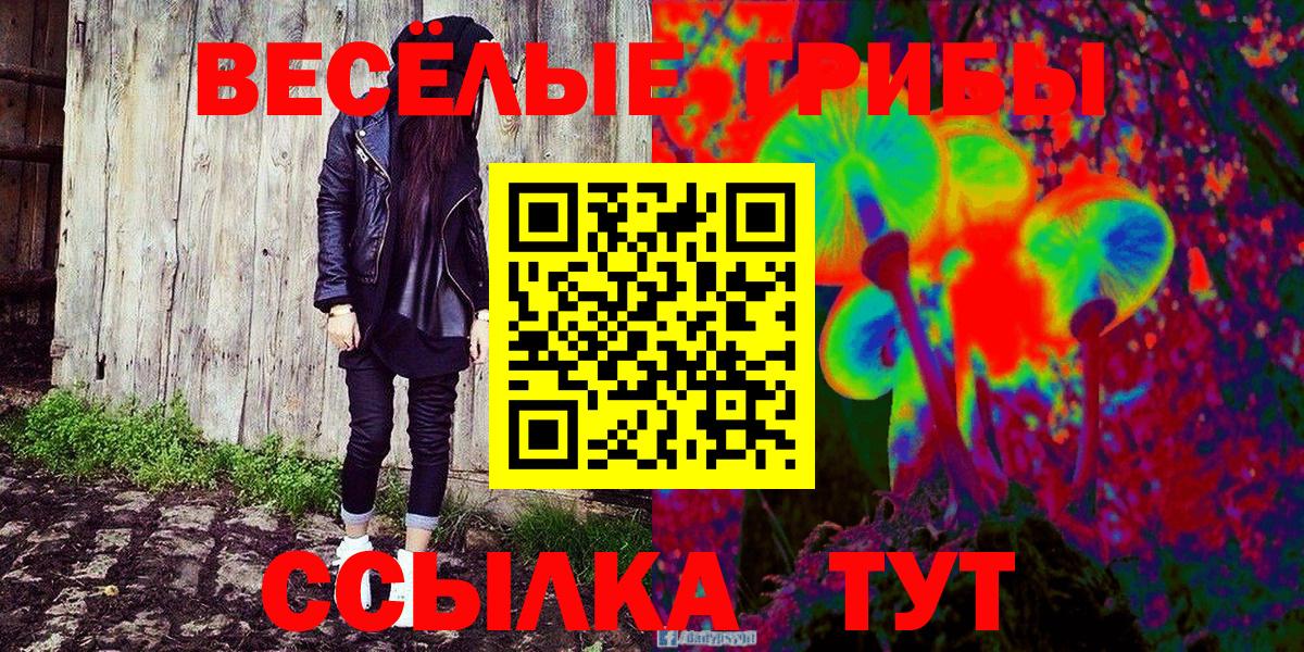 Галлюциногенные грибы мицелий  купить наркотик  Тихвин  Псилоцибиновые грибы GOLDEN TEACHER  Вход с VPN 